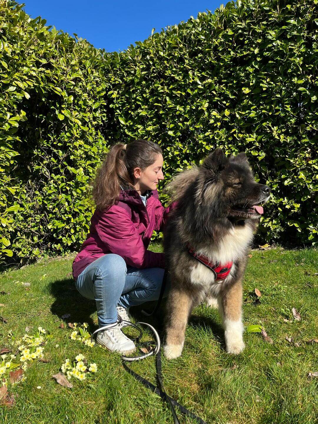 photo de Fanny Humbert ostéopathe manipulant un chien