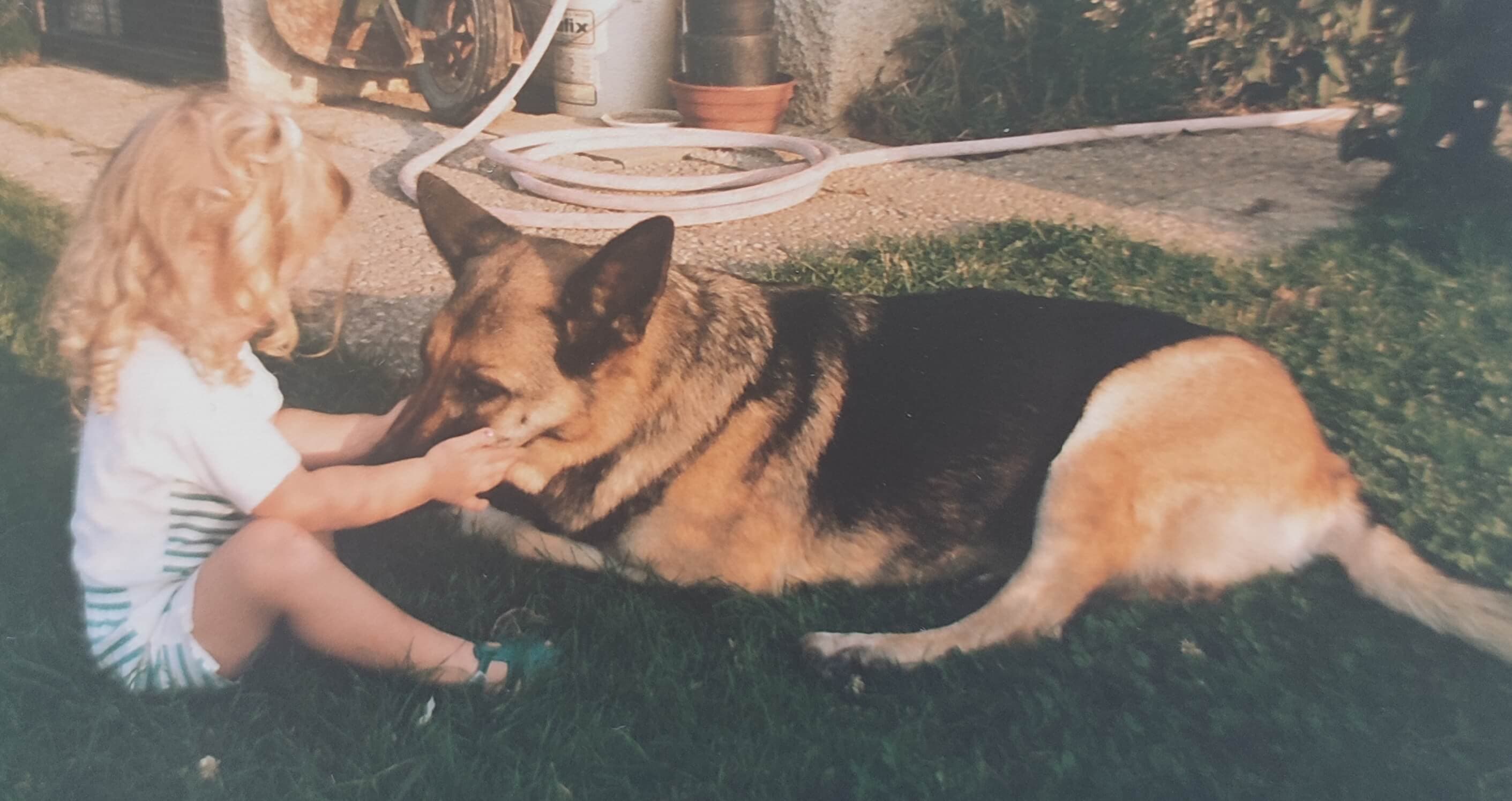 photo de Aurélie petite fille avec un chien berger allemand