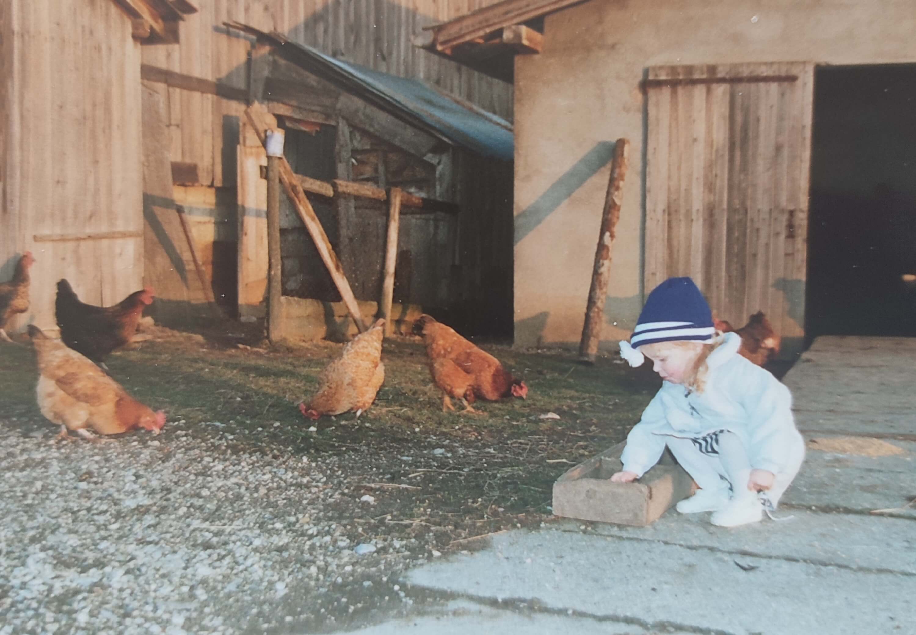 photo de Aurélie petite fille nourrissant les poules